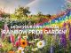 images/features/Gardening/rainbow-pride-garden.jpg