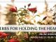 images/whatson2025/Herbs-for-holding-the-heart-Jacqui-Bushell.jpg