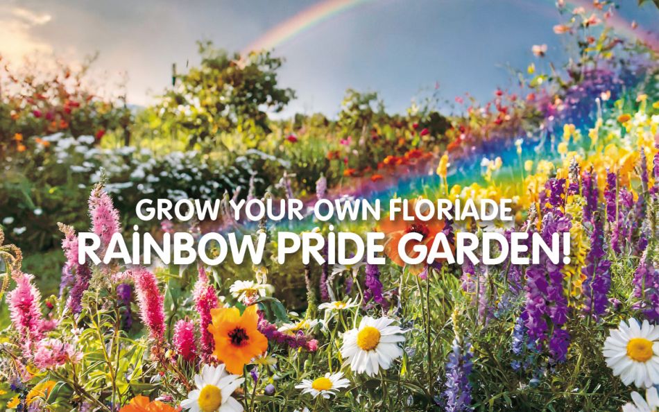 images/features/Gardening/rainbow-pride-garden.jpg